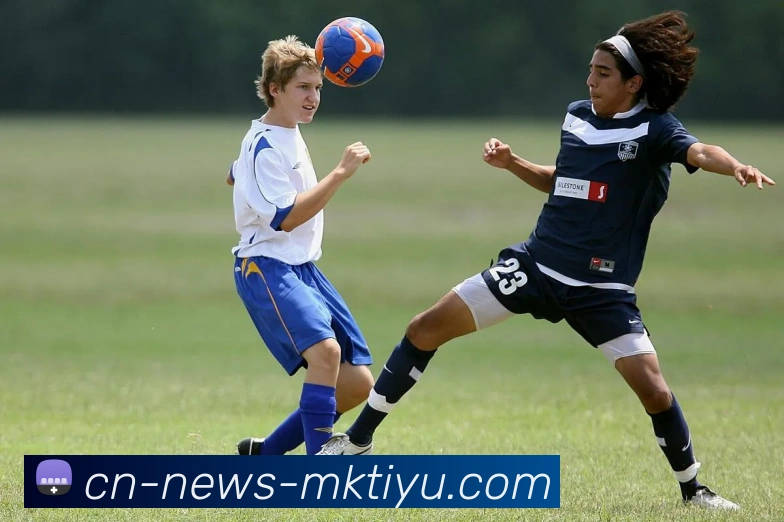 MK体育APP 高清赛事图